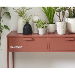 Console PANTONE  métal terracotta 100cm